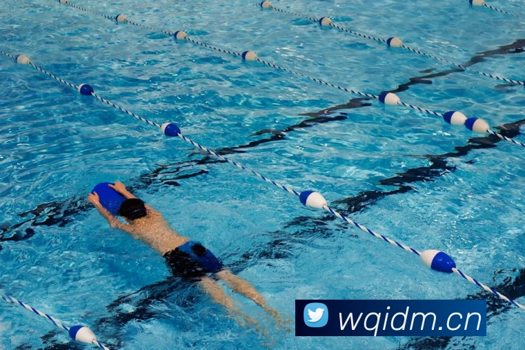 乐鱼在线登录入口网址全站App